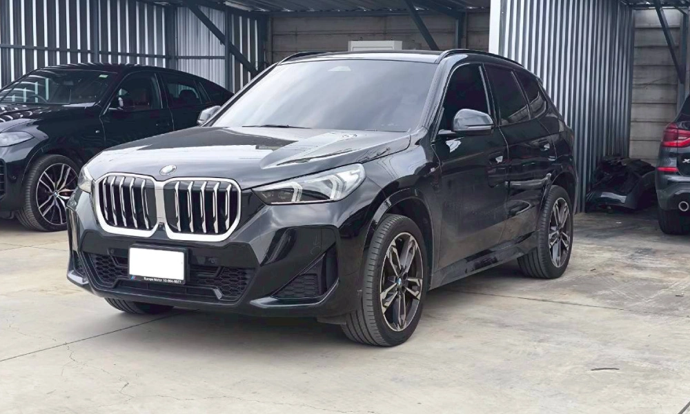 BMW X1 sDrive20i Msport U11-01